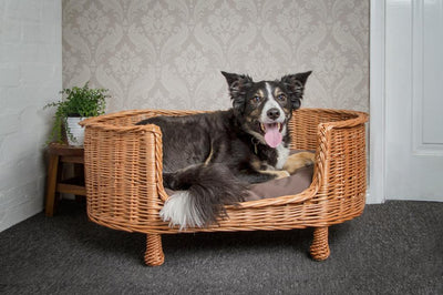 Luxury Oval Wicker Dog Settee Pets Prestige Wicker 