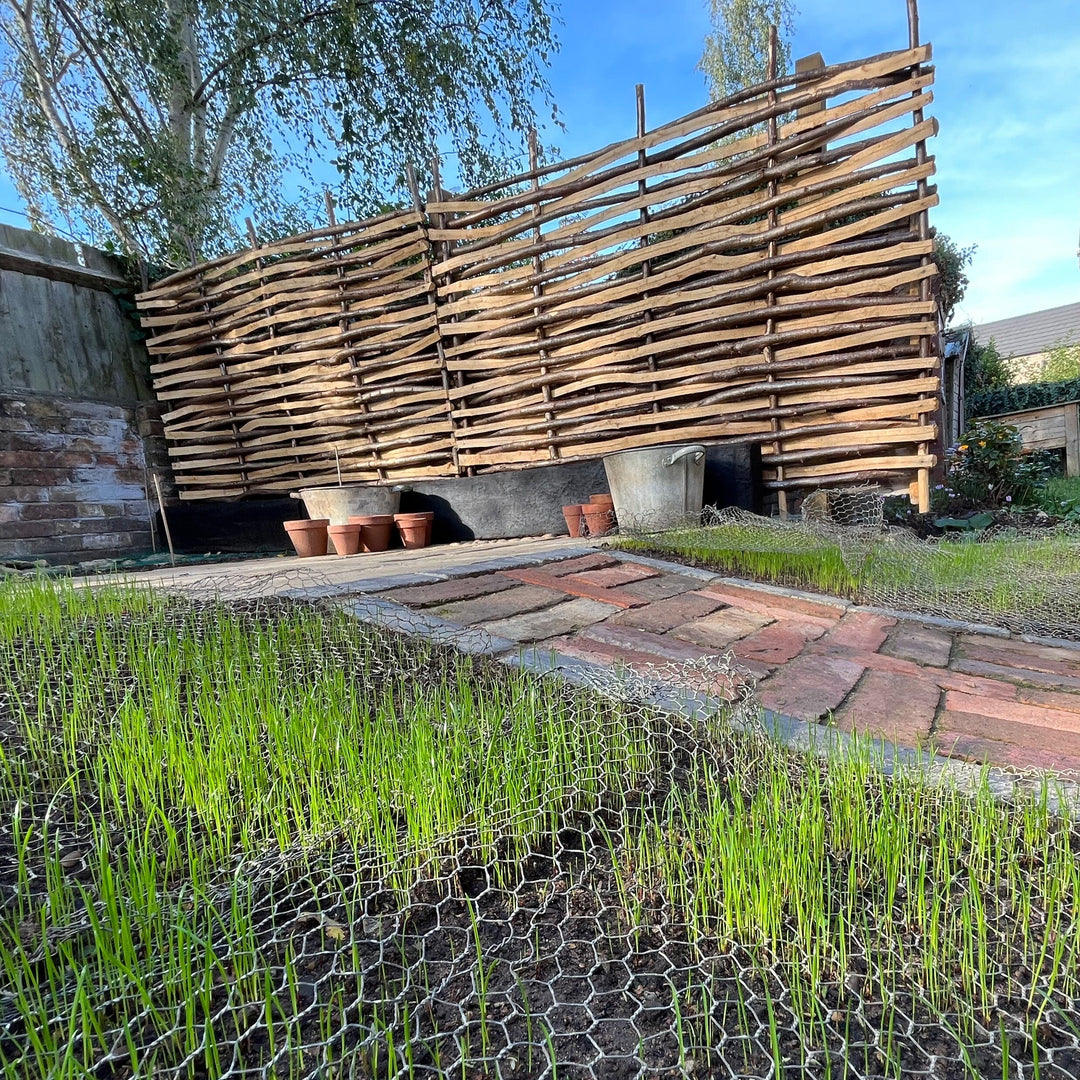 Enhanced Split Hazel Wood Fence Panel Hurdle – New High-Quality Design HOME AND GARDEN Prestige Wicker 