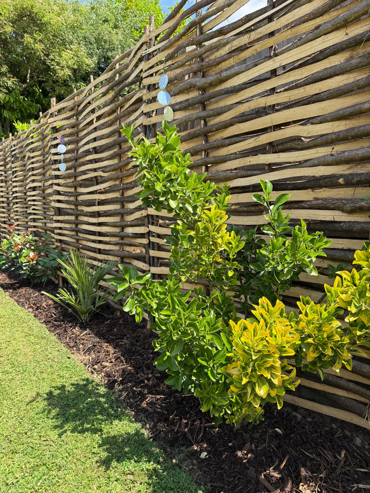Enhanced Split Hazel Wood Fence Panel Hurdle – New High-Quality Design HOME AND GARDEN Prestige Wicker 