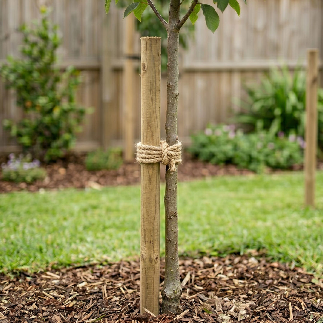 Wooden Pine Treated Round Posts Home & Garden Prestige Wicker 