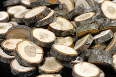 Oak Wood Slices 1kg Home & Garden Prestige Wicker 