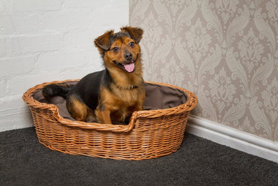 Wicker Dog Basket Dark Cushion Pets Prestige Wicker 