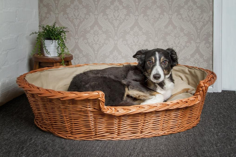 Wicker Dog Basket Dark Cushion Pets Prestige Wicker 