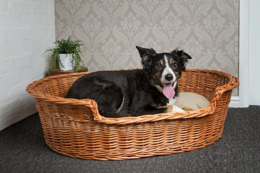 Wicker Pet Basket | Wicker Dog & Cat Bed | Prestige Wicker - Wicker Pet Basket