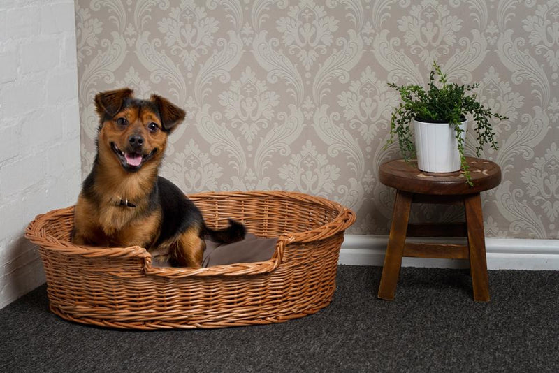 Wicker Pet Basket Pets Prestige Wicker 