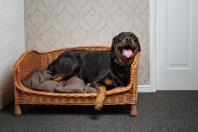 Wicker Pet Bed Settee Pets Prestige Wicker 