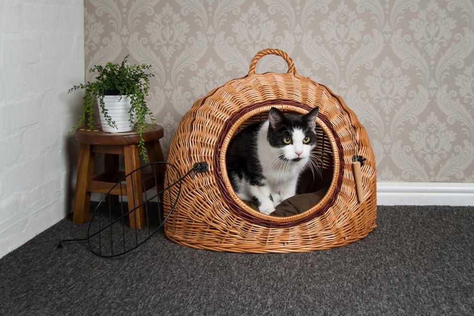 Wicker Pet Carrier Igloo Cat Dog Carrier Prestige Wicker