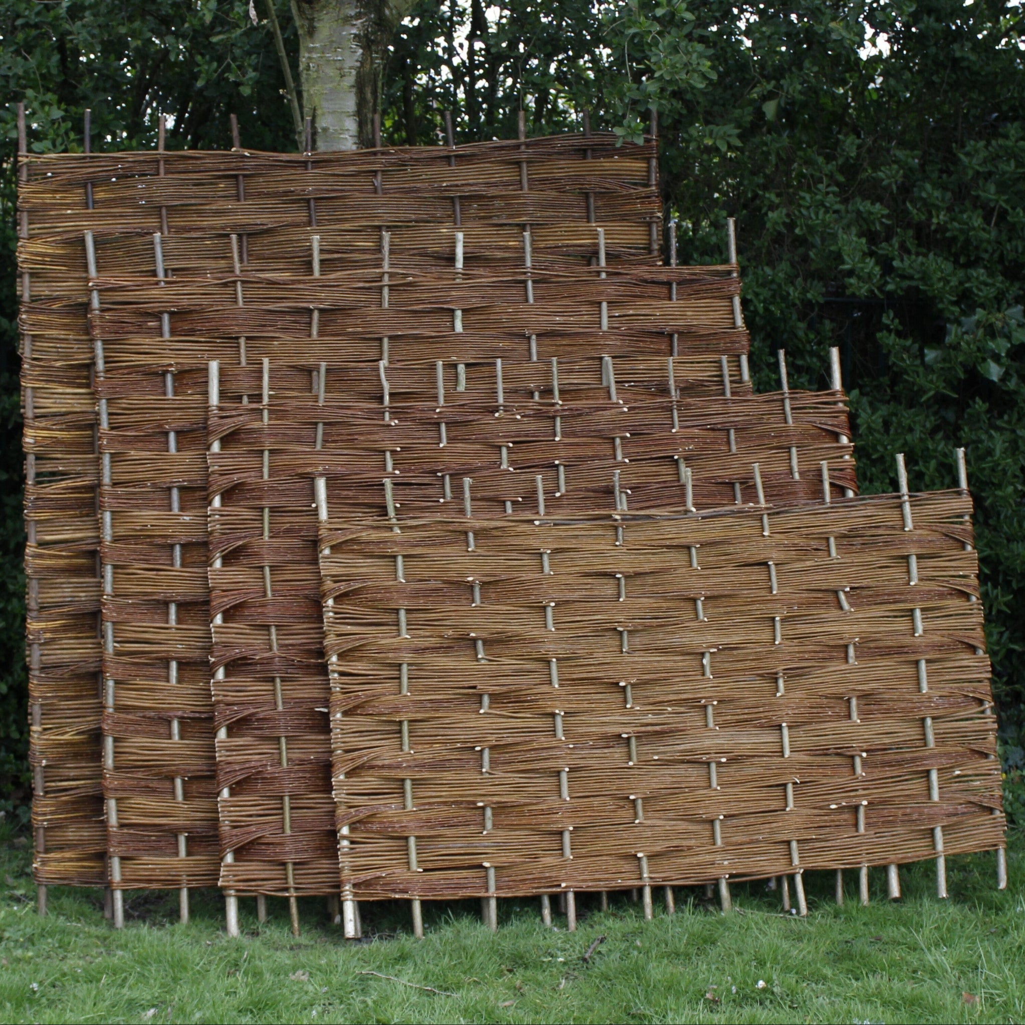 Willow Fence Panel Hurdle - 4ft(1.2m) / 2ft(0.6m) / -