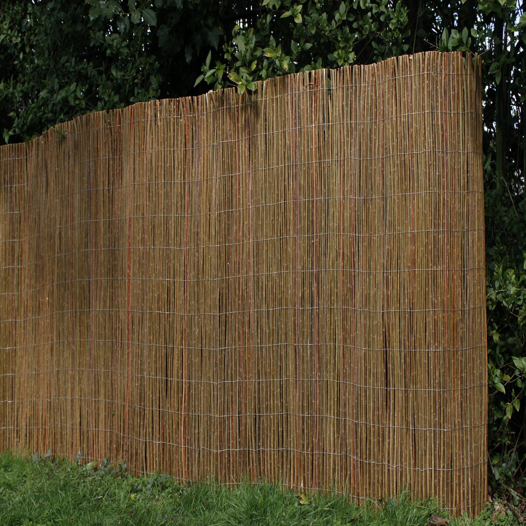 Garden Rols Willow garden screening roll 3m height | Prestige Wicker